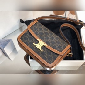 CELINE Сумка через плечо с принтом Триумфальная арка Старинная тк