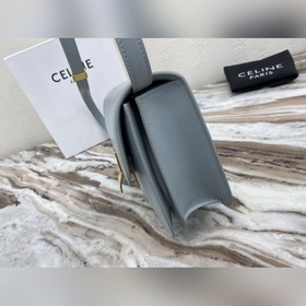 Средняя сумка Celine box из кожи Новая кожа box, двойная пружинна