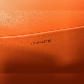 CELINE Сумка под мышку Triomphe Артикул： 194143 Верхняя часть сум
