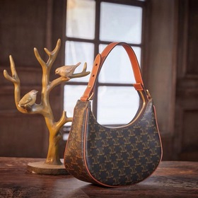 Celine CELINE AVA TRIOMPHE Сумка из парусины с классическим прин