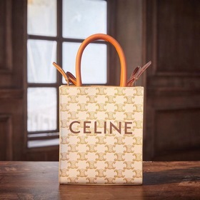 Celine CABAS TRIOMPHE холщовая сумка MiNi вертикальная Покрытая т