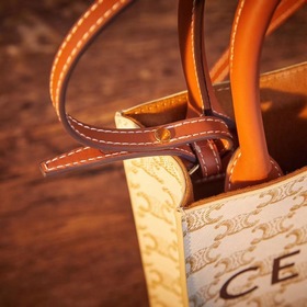 Celine CABAS TRIOMPHE холщовая сумка MiNi вертикальная Покрытая т