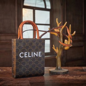 Celine CABAS TRIOMPHE холщовая сумка MiNi вертикальная Покрытая т