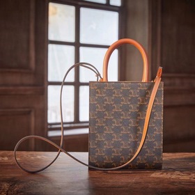 Celine CABAS TRIOMPHE холщовая сумка MiNi вертикальная Покрытая т