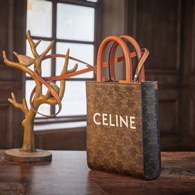 Celine CABAS TRIOMPHE холщовая сумка MiNi вертикальная Покрытая т