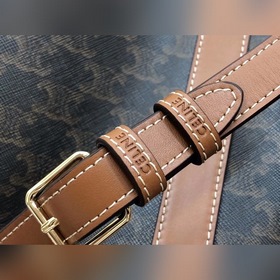 Сумка Celine TRIOMPHE из парусины среднего размера 61% пропитанна