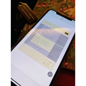 CHANEL Модель As0874 2.55 Мини 20 сумка с цепочкой Поддерживается
