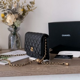 Chanel Новая модель маленькой золотой сумки WOC Новая модель сум