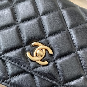 Chanel 22S Новая модель маленькой сумочки с цепочкой в форме мале