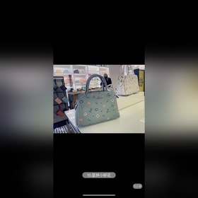 Coach/Coach Классическая сумка Princess с принтом в стиле «даунта