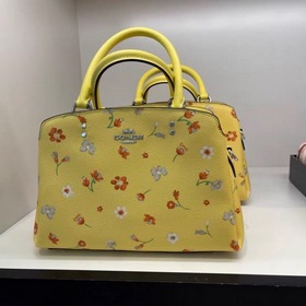 Coach/Coach Классическая сумка Princess с принтом в стиле «даунта