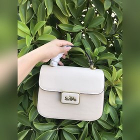 Coach/Coach Модель C4820 Кожа с узором «галька» Логотип с застежк