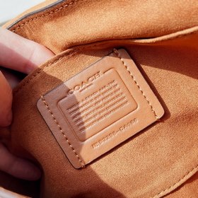 Сумка Kleo серии Coach/Kleo с клапаном на застежке и кожа с текст