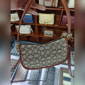 Coach, модель C8620, ограниченная серия в сотрудничестве с Disney