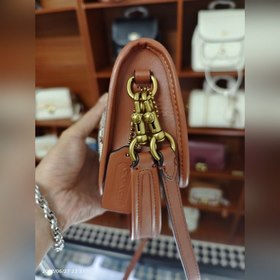 Coach, модель C8620, ограниченная серия в сотрудничестве с Disney