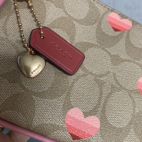 Coach, модель CA796, сумка для маджонга, сумка через плечо Эта су
