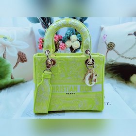 DIOR Женская сумка с вышитым тигром флуоресцентного цвета, можно