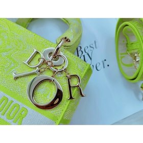 DIOR Женская сумка с вышитым тигром флуоресцентного цвета, можно 