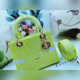 DIOR Lady Dior вышивка серия новый узор флуоресцентный зеленый ти