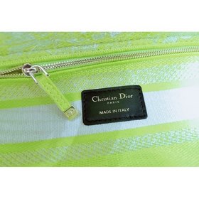 DIOR Lady Dior вышивка серия новый узор флуоресцентный зеленый ти