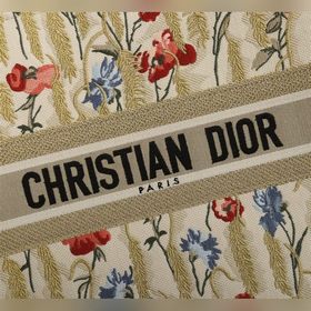 DIOR Lady Большая сумка-тоут с вышитым золотым колосом Модель： D1