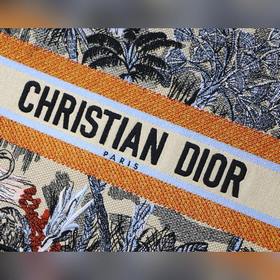 Dior Book Tote Кокосовая роща, маленькая сумка Большинство людей,