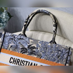 Dior Book Tote Кокосовая роща, маленькая сумка Большинство людей,