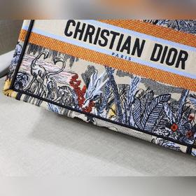 Dior Book Tote Кокосовая роща, маленькая сумка Большинство людей,