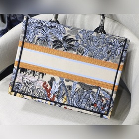 Dior Book Tote Кокосовая роща, маленькая сумка Большинство людей,