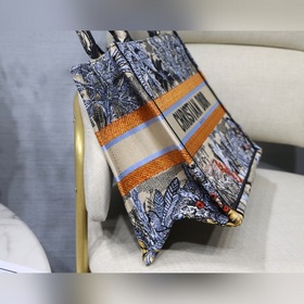 Dior Book Tote Кокосовая роща, маленькая сумка Большинство людей,