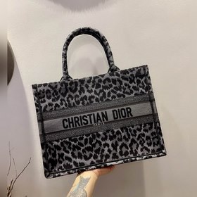 Серия Dior Book Tote, модель M1286 Много In Lights Большинство лю
