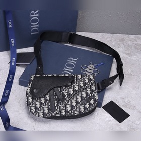 Мужская сумка через плечо Dior SADDLE Модель： 1ADPO095 Фотография