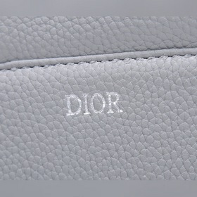 Dior Мужская сумка через плечо/нагрудная сумка Светло-серый, полн