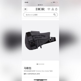 DIOR «Christian Dior Atelier» сумка-седло/сумка на грудь, модель 