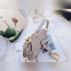 Сумка DIOR с новым узором из разноцветных полос  Сумка-седло из 
