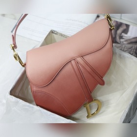 DIOR saddle Серия с градиентным переходом Градиентный розовый Мод