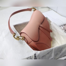 DIOR saddle Серия с градиентным переходом Градиентный розовый Мод