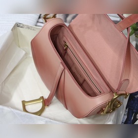 DIOR saddle Серия с градиентным переходом Градиентный розовый Мод