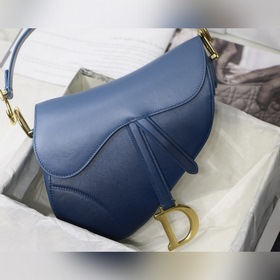 DIOR saddle Серия с градиентным цветом Градиентный синий Модель M