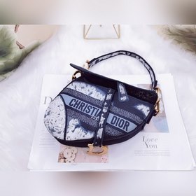 Dior сумка-седло Oblique с вышивкой, космический тотем, модель M