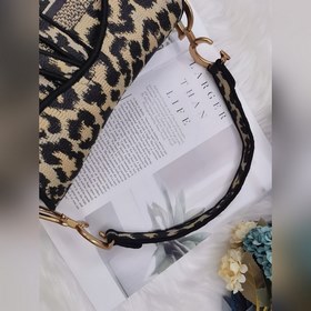Dior saddleOblique вышитая сумка-седло с леопардовым принтом Мод
