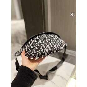 Dior поясная сумка из хлопчатобумажной ткани с классическим принт