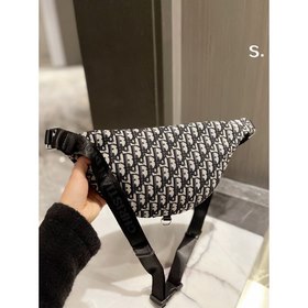 Dior поясная сумка из хлопчатобумажной ткани с классическим принт