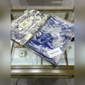 DIOR Длинный шарф из серебристой шерсти с блестками D Длинный ша