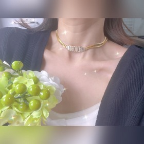 DIOR Ожерелье Браслет Самый популярный модный аксессуар этого сез