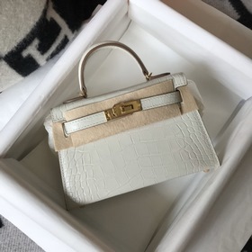Hermès Имитация крокодилаКожаная сумка Импортная кожа с тиснением