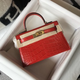 Hermès Имитация крокодила Кожаная сумка Импортная кожа с тиснение