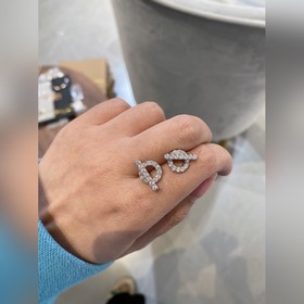 HERMES Hermes наклонные серьги с бриллиантами, изготовленные вруч