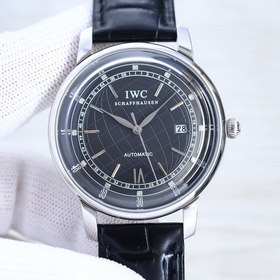IWC Portofino, обновленная версия «1» Команда TW в течение 6 меся