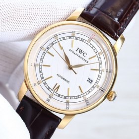 IWC Portofino, обновленная версия «1» Команда TW в течение 6 меся